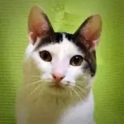 あやあ✴︎の画像