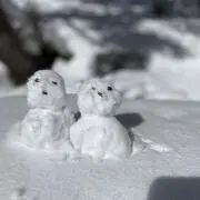 みぃの画像