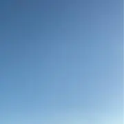にゃんの画像
