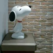 ふうの画像
