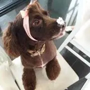 みっちゃん