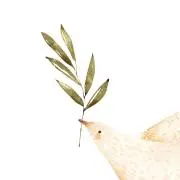 いほの画像