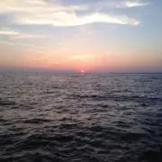 軽油