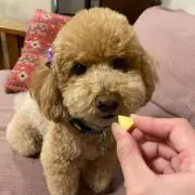 mの画像