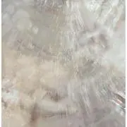 sの画像