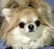 まあ吉の画像