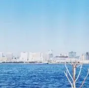 こち(お値下げ交渉お気軽に)の画像