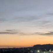 すずの画像