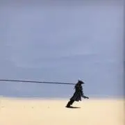 ひまわりの画像