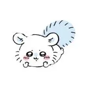 みーの画像