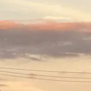 cocoの画像