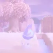 さぶの画像