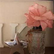 いちごちゃん