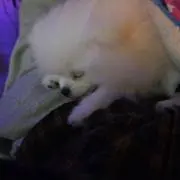 mの画像