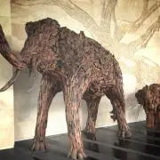 Tekoの画像