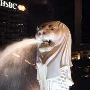 ピィの画像