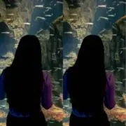 にゃはの画像