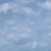 ちたの画像