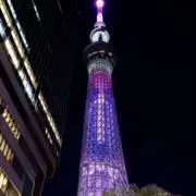 ファハドの画像