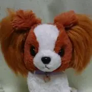 ミュウミュウの画像