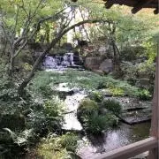 お米の画像