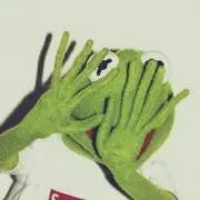たんの画像