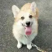 プロフ必読・即購入禁止☆おぽにゃん☆