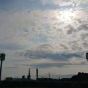 もも