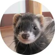 kojiroの画像
