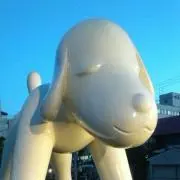 ともちゃんの画像