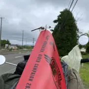 しょの画像