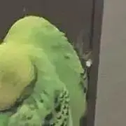 映画映画の画像