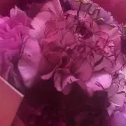 Kikiの画像