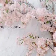 ma_amの画像