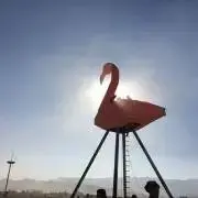 ぱるの画像
