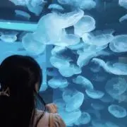 Tyouの画像