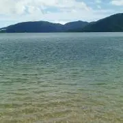 咲