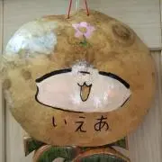 アフロあーやの画像