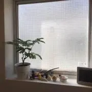 たけすぃの画像