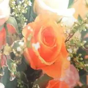pianoプロフ必読！の画像