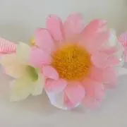 クローバーの画像