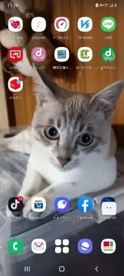 ゆきみの画像