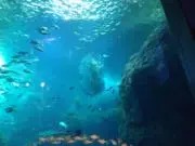 レインボー♪の画像