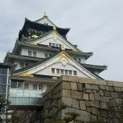 ぷりんの画像