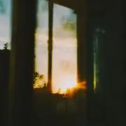 ⅸの画像