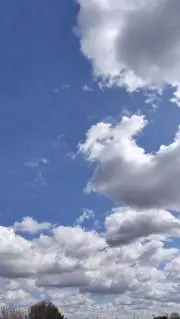 わかなつの画像