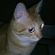 ユウ