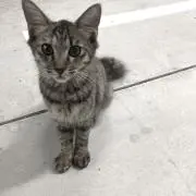 ゆうきの画像