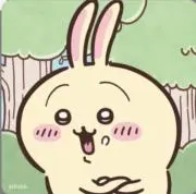 りこの画像