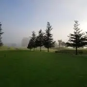 徳千の画像